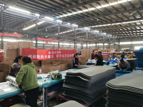 電商卷增長 同向不同路，集權與放權的博弈，公域與私域的抉擇——以蘇州企業管理為鏡